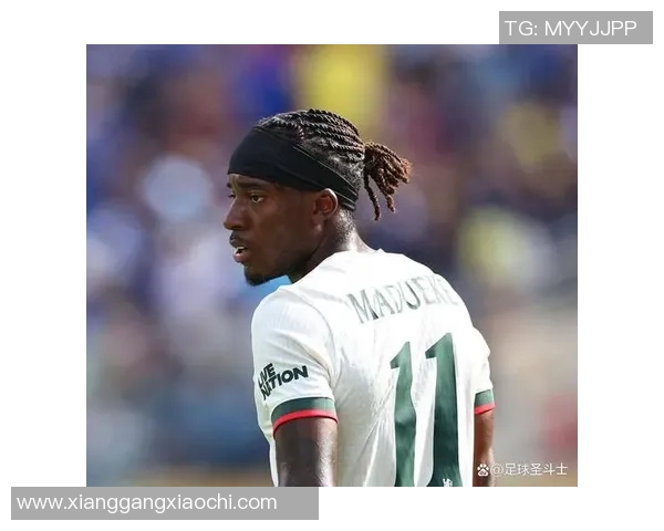 汉堡队宣布签下德国国脚加布里埃尔，助阵新赛季夺冠大计