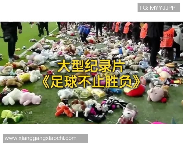 足球赛事专题纪录片震撼上线深度解析赛场背后的故事与传奇